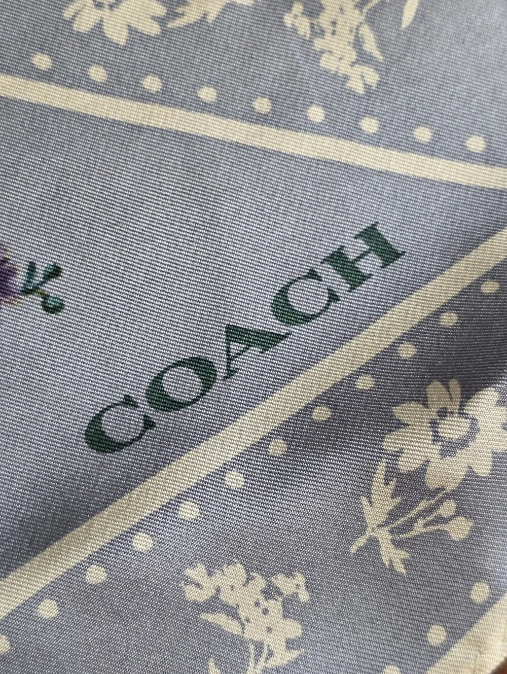 Coach 73192 Meadow Prairie Diamond Silk Scarf Mist Blue NWOT